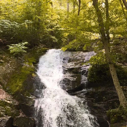 Crabtree Falls in Virginia