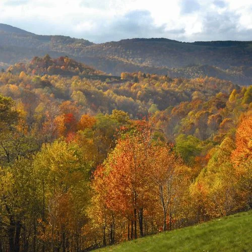 George Washington & Jefferson National Forests Backroads