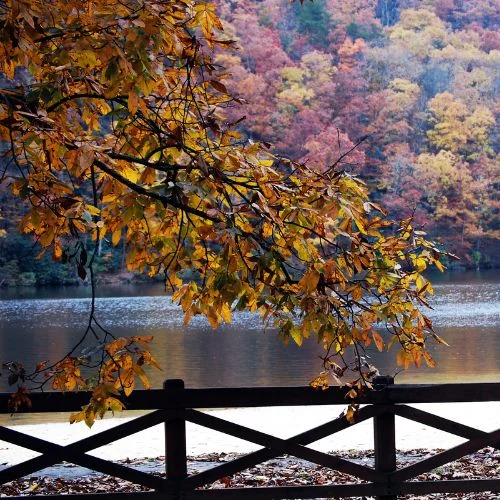 Hungry Mother State Park in Virginia