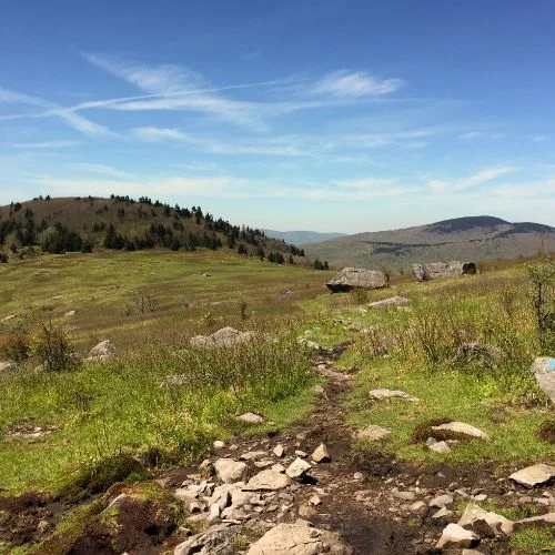 Mount Rogers via Appalachian Trail in Virginia