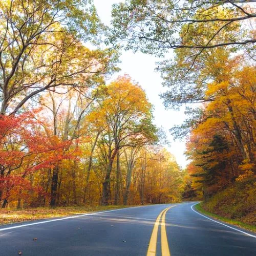 Skyline Drive Virginia