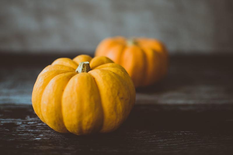 Pumpkin Smoothies to make in your Harrisonburg Apartment