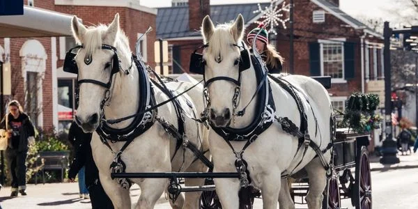 Winter Wonderfest and Harrisonburg Holiday Parade